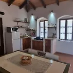 Olive Old * Qeparo